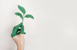Emergence de l'immobilier responsable